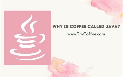 Image result for Java Coffee Java Programming