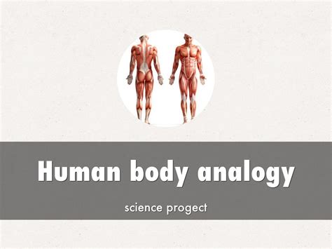 Image result for HTML CSS JavaScript Human Body Analogy