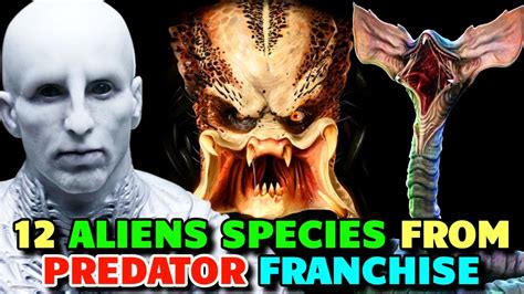 Image result for Alien Races