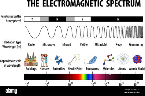 Image result for Electromagnetic Spectrum Grade 5