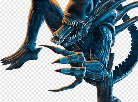 Alien vs Predator PNG に対する画像結果