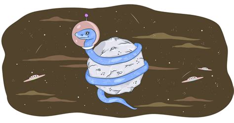 Image result for API Wrapper Python