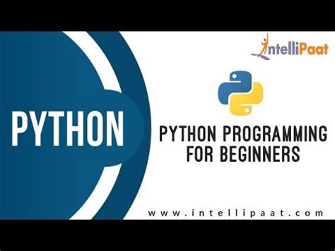 Toradh íomhá ar Python Programming for Beginners