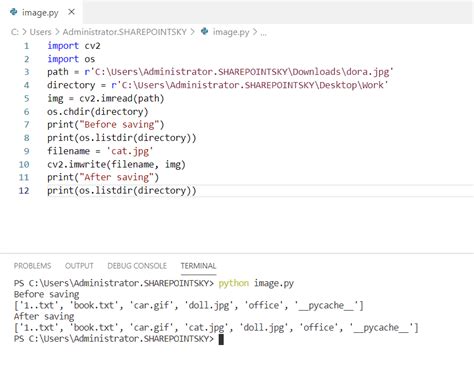 Image result for Python API Save