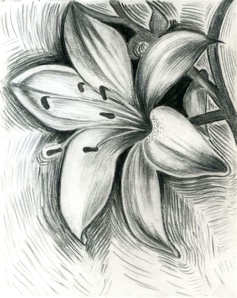 Afbeeldingsresultaten voor Flower Pencil Art Tutorials