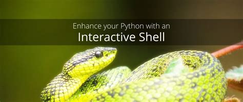 Image result for Python Shell