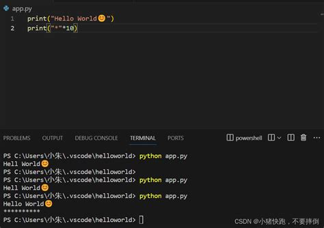 Image result for Code with Mosh Python