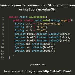 Image result for Program Boolean Java