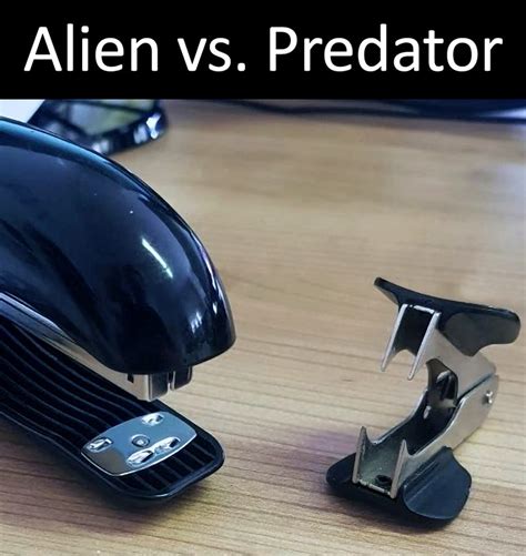 Alien Vs Predator Meme Alien Vs Predator: Memes, Movie Scenes, And