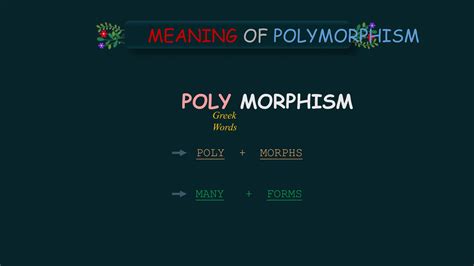 Image result for Polymorphism Java Code Line Example