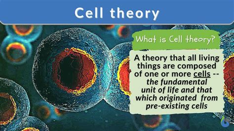 Image result for Cell Biology Definition