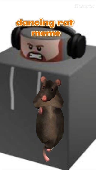 Image result for Dancing Rat Meme
