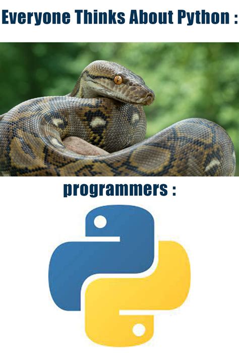 Image result for Java vs Python Meme