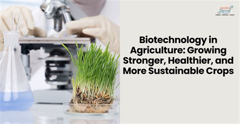 Biotechnology Advance に対する画像結果