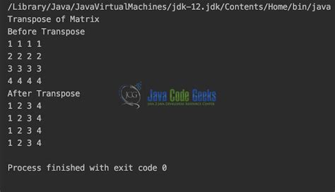 Image result for Matrix Java Code