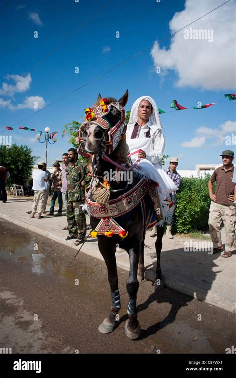 Image result for Gaddafi Capture
