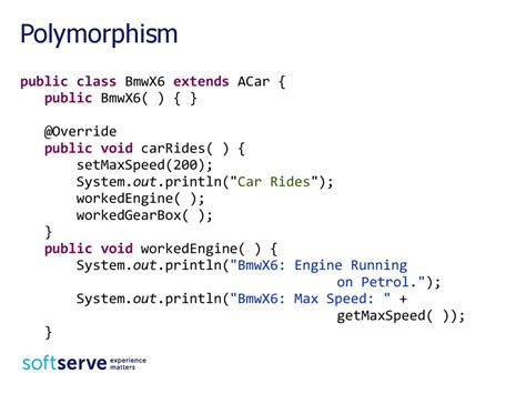 Afbeeldingsresultaten voor Polymorphism Java Code