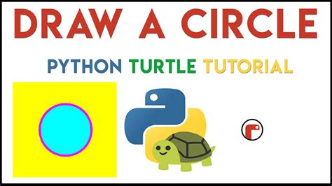 Afbeeldingsresultaten voor Python Turtle Example Codes