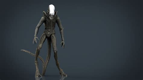 Image result for Alien Xenomorph Model