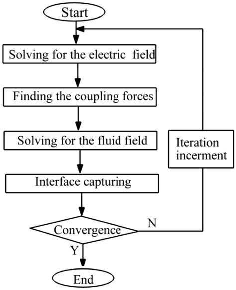 Numerical Algorithm Example に対する画像結果