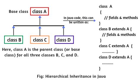Image result for Java Class Inheritance Example