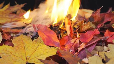 Image result for Autumn Burning