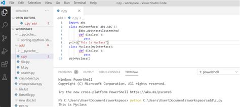 Image result for Application Programming Interface Python