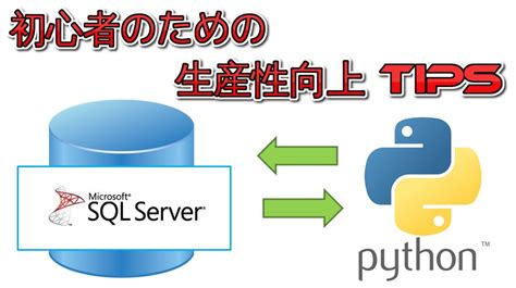 Python ND SQL に対する画像結果