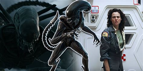 Image result for Alien Order