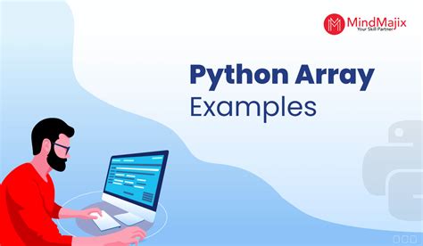Array Code Example Python に対する画像結果