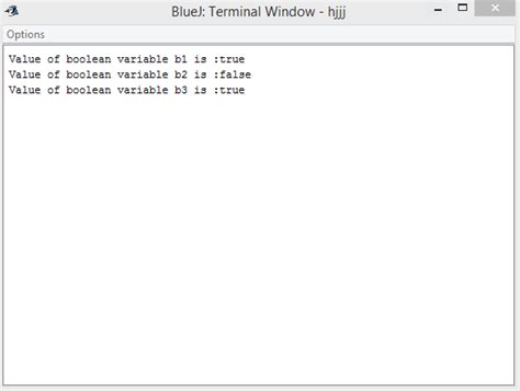 Image result for Int Boolean Example in Java
