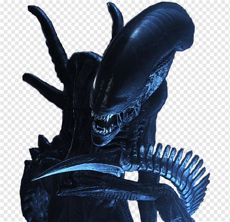 Image result for Alien vs Predator Xenomorph