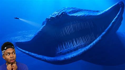 Image result for Real Sea Creatures