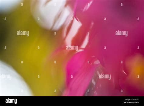 Image result for Autumn Burning