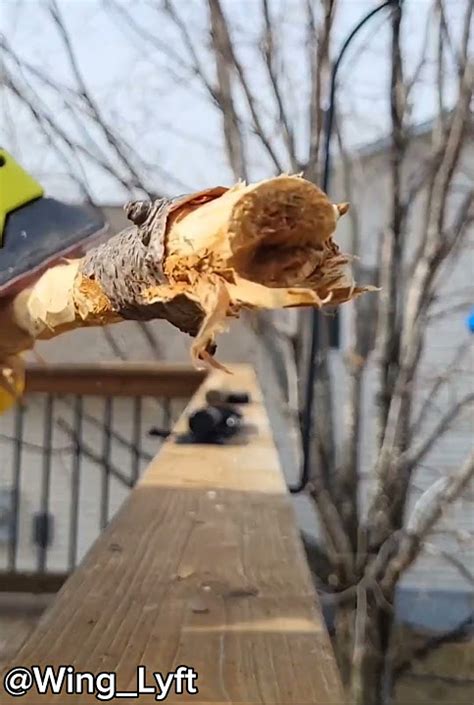 Image result for Dwingdling