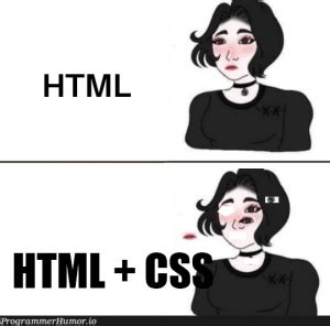 Image result for HTML CSS JavaScript Dragons Meme