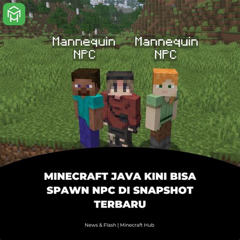 Toradh íomhá ar Code NPC Minecraft Java Vanilla