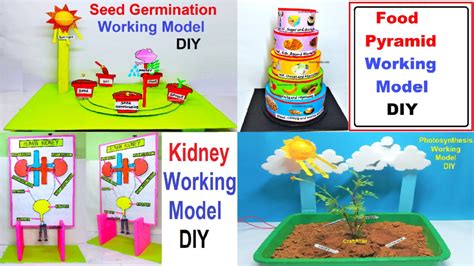 Image result for Best Science Project Models