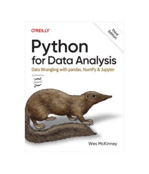 Toradh íomhá ar Python for Data Analysis PDF