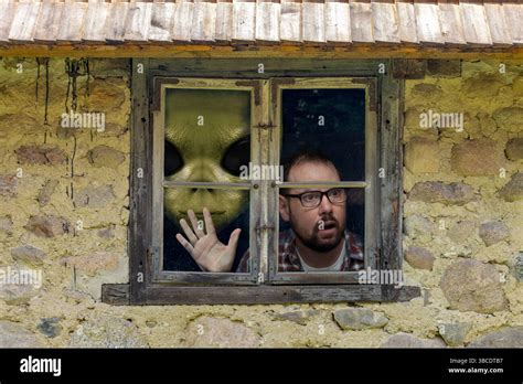 Alien Back Window に対する画像結果