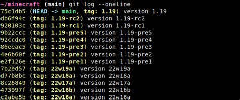 Minecraft Java Source Code に対する画像結果