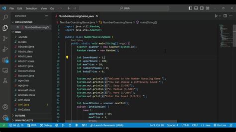 Image result for Programming Projects Java