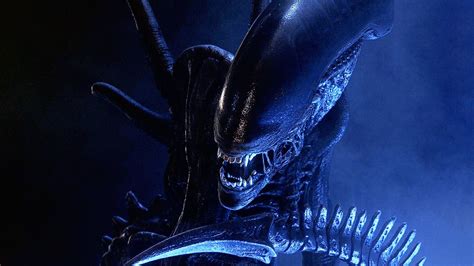 Image result for Alien FR
