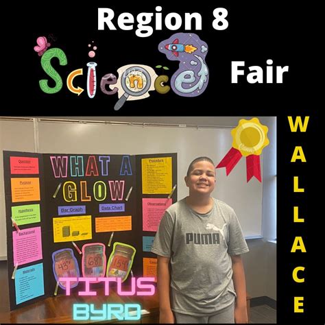 Image result for 8th Grade Science Project Examples