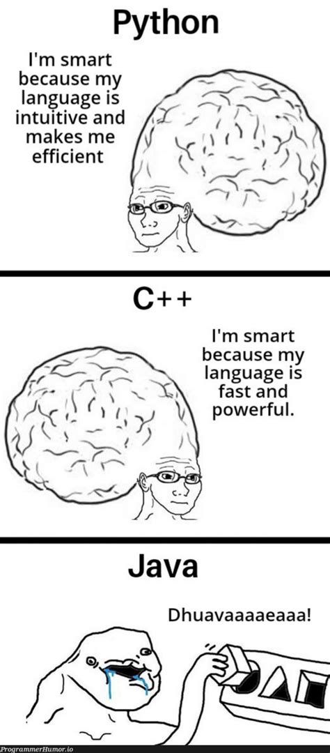 Image result for Java vs Python Meme