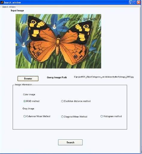 CBIR Using MATLAB に対する画像結果