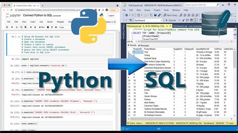 Image result for Python Interface with SQL