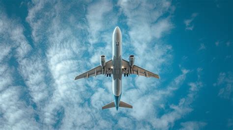 Image result for Soared