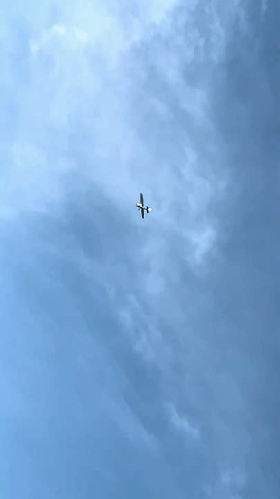 Image result for Soared