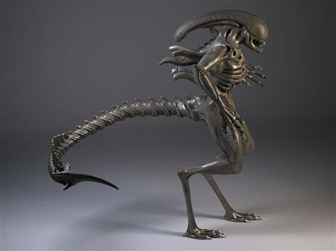Image result for Alien Xenomorph Model